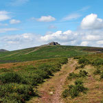 Unterwegs im Dartmoor / Haytor Rocks