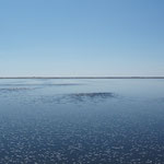 Salzsee bei Salin-de-Giraud / Carmague / Sommer 2011