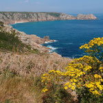 Cornwall: Küste bei Minnack