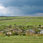 Unterwegs im Dartmoor