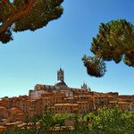 4. Etappe: Siena