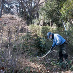 灌木の除伐、剪定枝の処理などの作業を行う