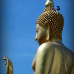Sur la Tête de Buddha