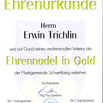 Ehrennadel in Gold