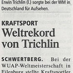 Erfolgsbericht in den Tips 2013