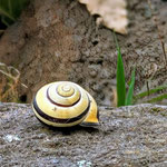 Foto: Weigand Naumann