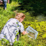 Im Wald bei Ortenberg bei einer NABU-Aktion. Foto: Weigand Naumann