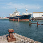 Hafen (Hirtshals)