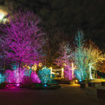 XMAS Lights 2024/25 (Allwetterzoo, Münster)