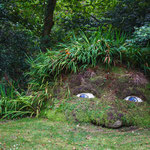 The Giant’s Head (The Lost Gardens Heligan, St Austell, Cornwall, GB)