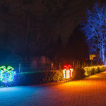 XMAS Lights 2024/25 (Allwetterzoo, Münster)