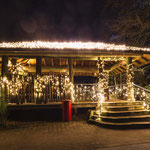 XMAS Lights 2024/25 (Allwetterzoo, Münster)