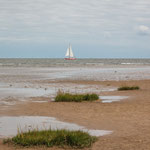 Wattenmeer (Cuxhaven)