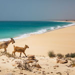 Boa Vista, Kapverden