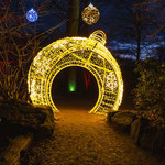 XMAS Lights 2024/25 (Allwetterzoo, Münster)