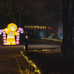 XMAS Lights 2024/25 (Allwetterzoo, Münster)