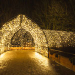XMAS Lights 2024/25 (Allwetterzoo, Münster)