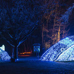 XMAS Lights 2024/25 (Allwetterzoo, Münster)