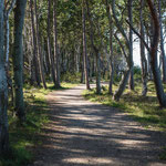 Hornbæk Strand (Hornbæk)