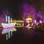 XMAS Lights 2024/25 (Allwetterzoo, Münster)