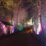 XMAS Lights 2024/25 (Allwetterzoo, Münster)