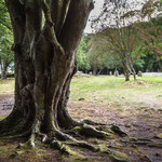 Clava Cairns (Inverness, Schottland)