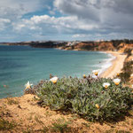 Praia da Falésia Klippen (Olhos de Agua, Portugal)