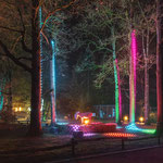 XMAS Lights 2024/25 (Allwetterzoo, Münster)