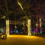 XMAS Lights 2024/25 (Allwetterzoo, Münster)