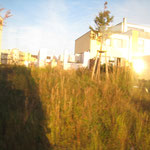 10.10.2010 - Blick aus der Straßenbahn
