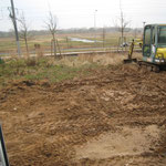 21.01.2011 - Gartenb