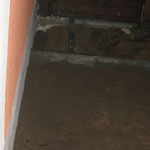 24.01.2011 - Spritzwasserstreifen am Haus, hinter der Terasse