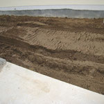 21.01.2011 - die Spurrillen des Radladers