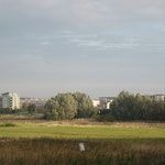 23.10.2010 - Blick vom Westen: mittig zwischen den Bäumen kann man ganz am linken Baumrand unseren Rohbau erahnen