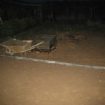 24.01.2011 - weiter hinten im Garten fehlt noch die Muttererde