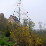 Österliche Burg Scharfenstein