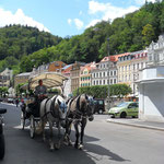 Rundfahrt mit Pferdekutsche