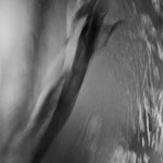 Variation sur M (4)