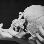 La jeune fille et la mort (7)
