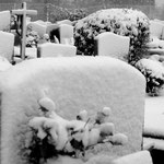 Cimetière d'Auvers-sur-Oise, 8 décembre 2010