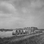 Vexin, entre Hérouville et Nesles-la-Vallée