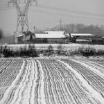 La plaine de Pierrelaye, hiver 2013