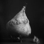 La petite feuille et la betterave