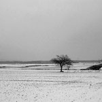 La plaine de Pierrelaye, hiver 2013