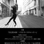猫沢はるか produces Kaz 小展『白と黒 #20　〜ストリートキャット〜』DM