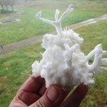 ARAGONITE DE SALSIGNE AUDE FRANCE