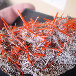 CROCOITE  AUSTRALIE