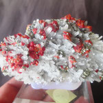 REALGAR SUR QUARTZ AVEC PYRITE  PEROU