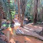 Oasis de Terjit