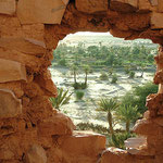 Vue sur la palmeraie à Ouadane en Mauritanie